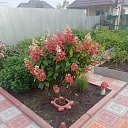 ���� ����, ��������, 65 ��� - ��������� 2 �������� 2024 � ������ ���� ����������