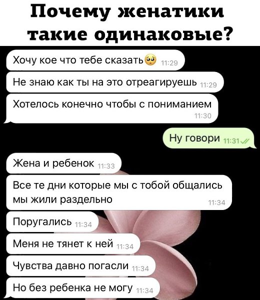 JPG - 8  2024  21:39