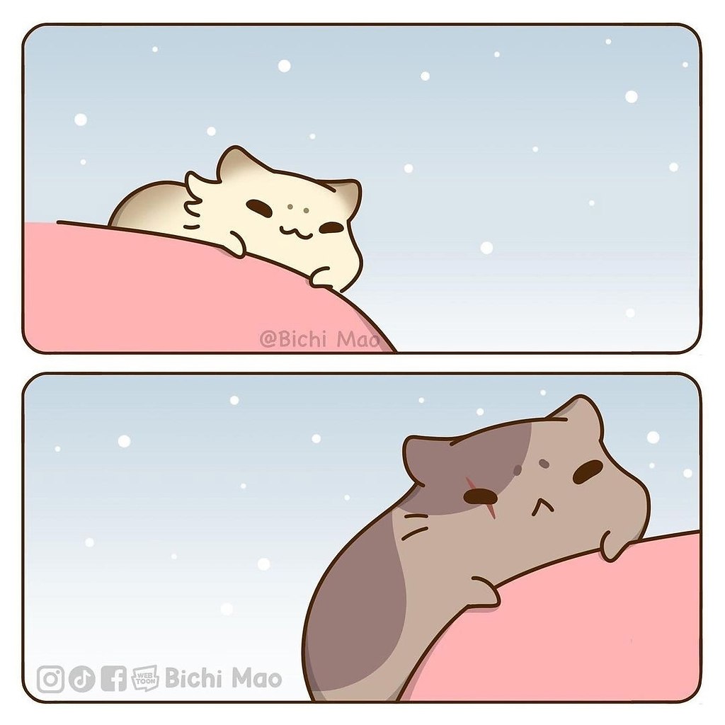  ,    - 9