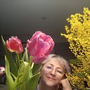 ���� ������, ������ - ��������� 8 ����� 2026 � ������ ���� ����������