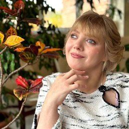 ���� �������, ������, 43 ���� - ��������� 23 ����� 2026