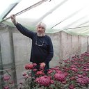 ���� ϸ��, ���������, 63 ���� - ��������� 16 ������� 2023 � ������ ���� ����������