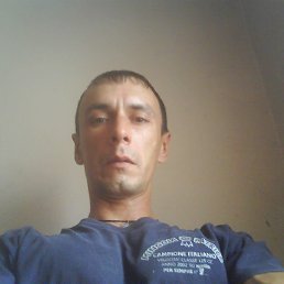 , 44 , 