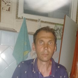 �������, 41 ���, ����