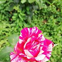 ���� �������, �������������, 65 ��� - ��������� 23 ������ 2025 � ������ ���� ����������