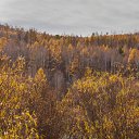 ���� �.�., ���� - ��������� 14 ������� 2025 � ������ �����������.�����.��������