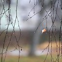 ���� �������, ������, 64 ���� - ��������� 4 ������ 2025 � ������ ������ ��������