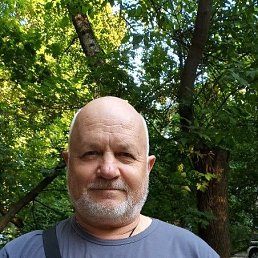 �������, 66 ���, ������