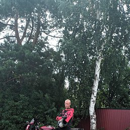 ��������, ����������, 36 ���