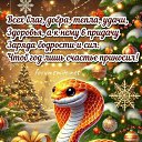 ���� ���� �������, ������, 46 ��� - ��������� 24 ������ 2025 � ������ ���� ����������