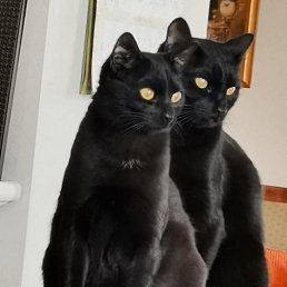 ���� �����, ������, 38 ��� - ��������� 21 ����� 2024