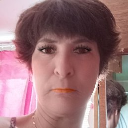 Yla, �������, 50 ���