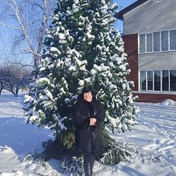 ���� ����, ��������, 59 ��� - ��������� 12 ������ 2026