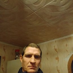 , 44, 