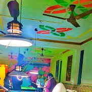 Hasan turabi, 19 ���, ����