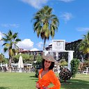  , , 58  -  29  2025   ,  2025