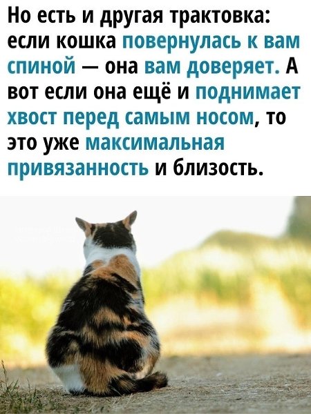   ? - 3