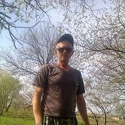 , 84 , 