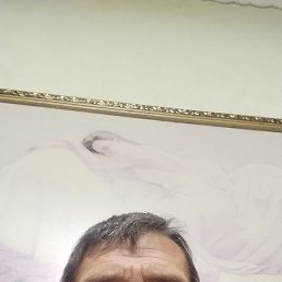 ������, 46 ���, ������