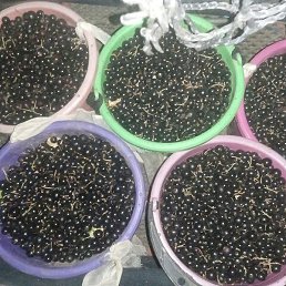 �����, �������, 64 ����