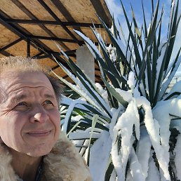 �������, �����������, 59 ���