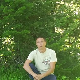 ����, 37 ���, �����