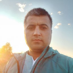 , 33, 