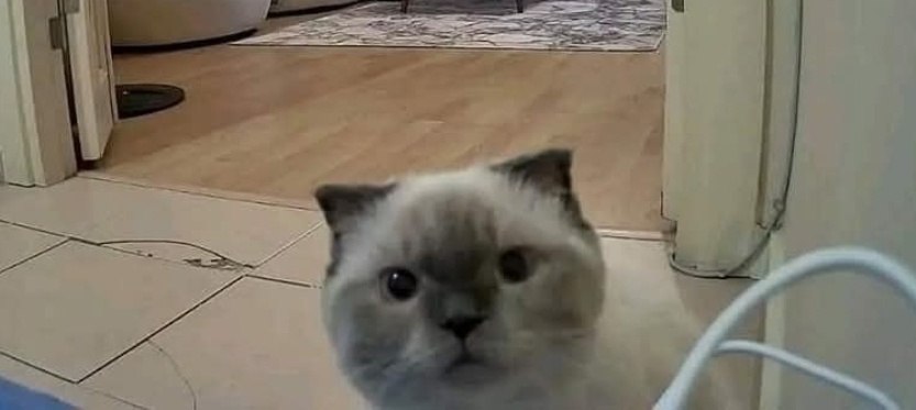   ,  ,    ...    )))  ... - 3