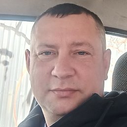 ������, ������, 40 ���