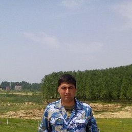 , 38, 