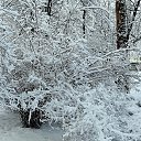 ���� ���������, ������, 74 ���� - ��������� 6 ������ 2025 � ������ ���� ����������