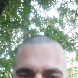 , 37, 