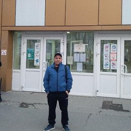 ����, 44 ����, ���������