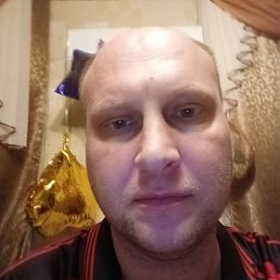 ����, �������, 37 ���