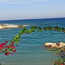 ���� ����, ������, 61 ��� - ��������� 11 �������� 2025 � ������ ���� ����������