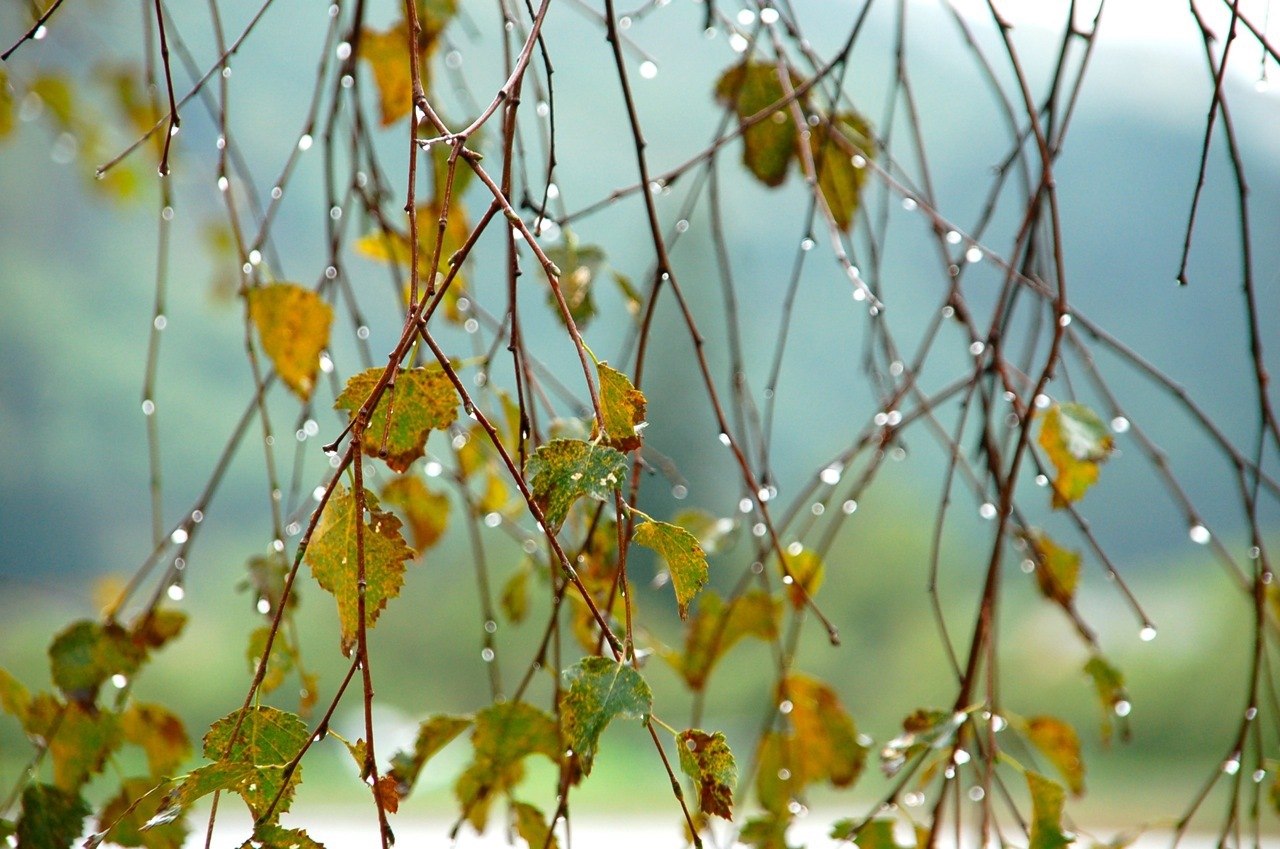   ,    . - 28  2025  22:20