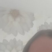 �������, 33 ����, �������