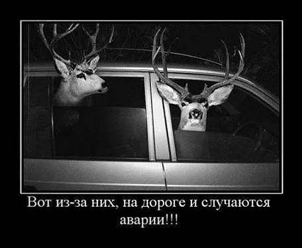 �� ����� - ������������� ������ �1 - 18 ��� 2025 � 20:45
