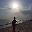 ���� ����, ��������, 44 ���� - ��������� 2 ������� 2024