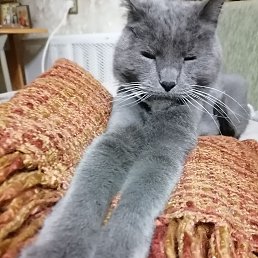 ���� ���, ������, 48 ��� - ��������� 18 ���� 2025