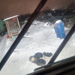 ����, ���, 42 ����