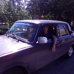 ��������, ������������, 41 ���