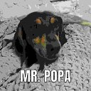 ���� ������, ���������, 27 ��� - ��������� 8 ������� 2024 � ������ ���� ����������