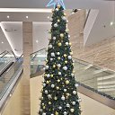 ���� Jagoda Frau, ������, 55 ��� - ��������� 10 ������ 2026