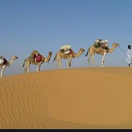 ����, �������, 59 ���