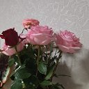 ���� �������, �������������, 43 ���� - ��������� 22 �������� 2025