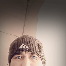 ���� �����, ���������, 43 ���� - ��������� 10 ���� 2025