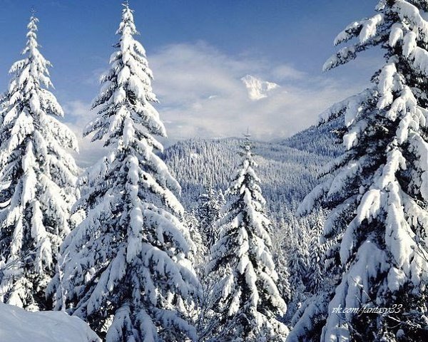 Изведать то, чего не ведал сроду, Глазами, ртом и кожей пить простор... Кто в океане видит только ... - 2