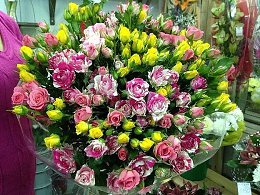 �����������