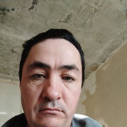, 37, 